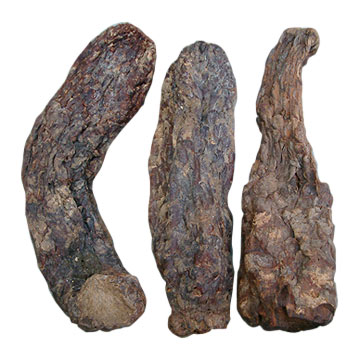 今日肉苁蓉价格
