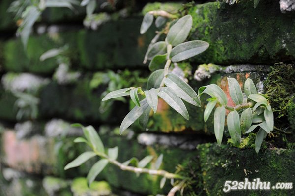 ʯר÷ʿʹƤʯ15%-40%