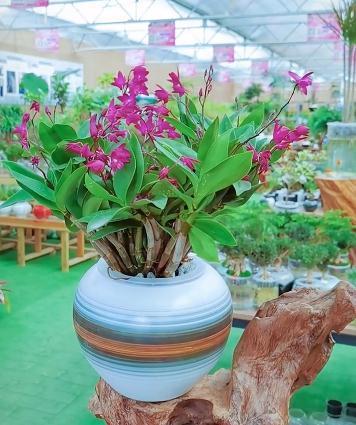 ˮʯһʺڿˮֲһֿСģ