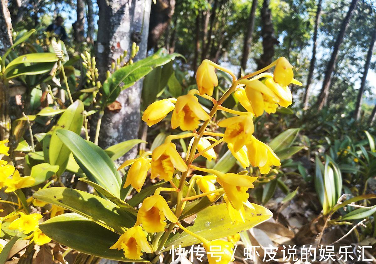 ʯʲôһˮĹЧЩĻܿᣬ