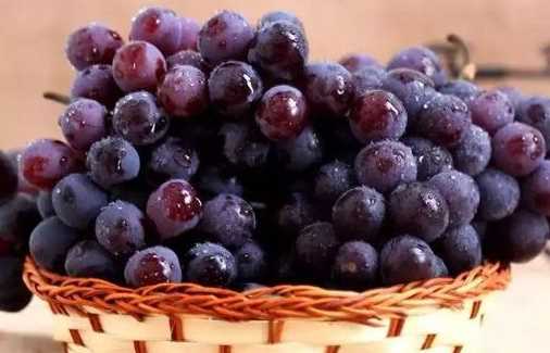 葡萄那么甜吃多了会发胖吗
