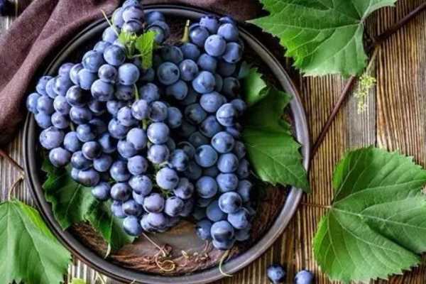 吃葡萄可以减肥吗？