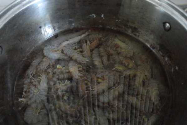 基围虾怎么做好吃水煮基围虾