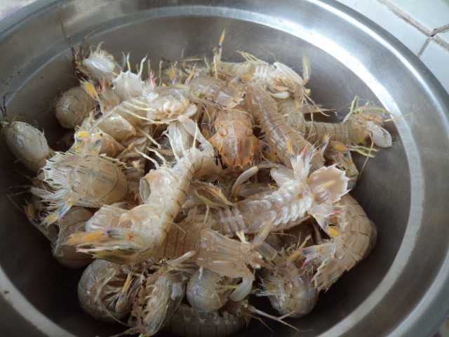 皮皮虾怎么做好吃？