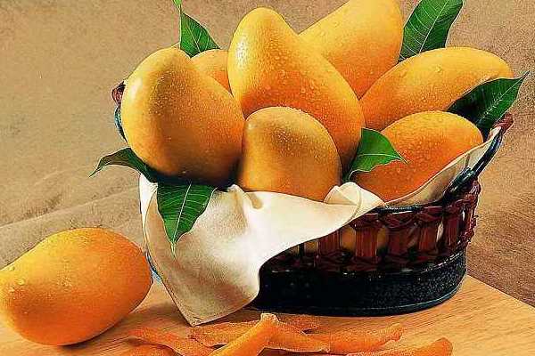 经期能吃芒果吗？